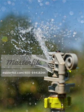 Water sprinkler in action