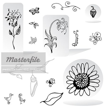 An image of a set of nature design elements.