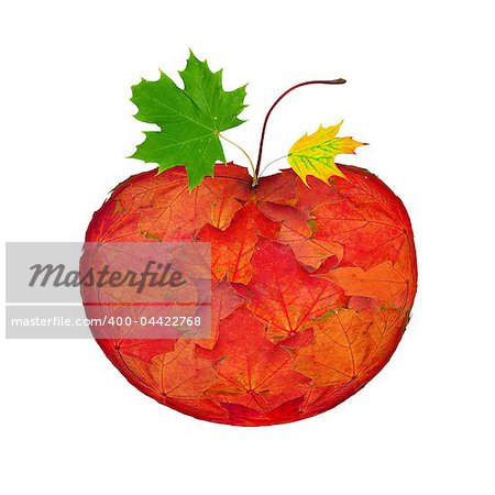 Apple made from autumn maple leaves isolated on white