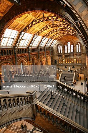 The Natural History Museum is one of the most favorite museum for tourist in London.