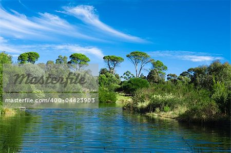 Australian green park landscape with beautiful trees and pond