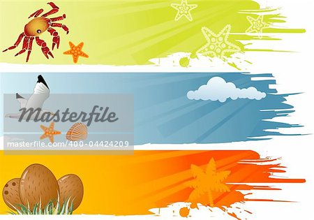 Three summer banner with coconut, dolphin, crab, starfish, seagull vector illustration