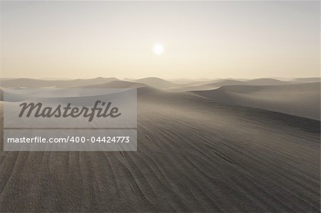 An image of a nice desert sunset