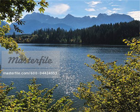 Autumn Leaves, Lake Barmsee, Karwendel Range, Kruen, Upper Bavaria, Bavaria, Germany