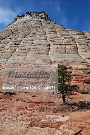 Zion National Park, Utah, Etats-Unis