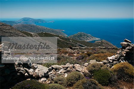 Sauvages de la végétation et de murs en pierre, près de Sirigas, Syros, Iles Cyclades, Grece