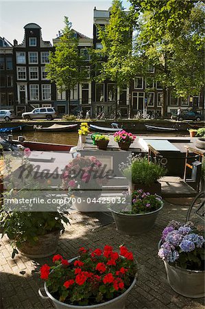 Fleurs en pot par Canal, Amsterdam, Pays-Bas