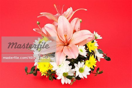 One bouquet of flowers on a red background