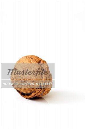 walnut on white background