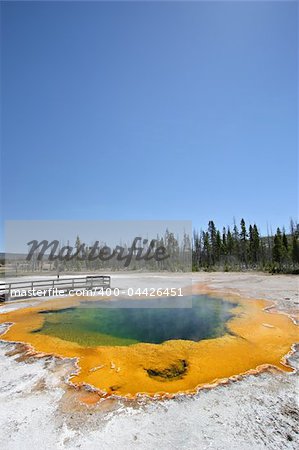 yellowstone national park - emerald pool hot spring in the black sand basin. vertical version.