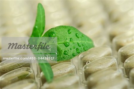 Green leaf and package of herbal supplement pills close up