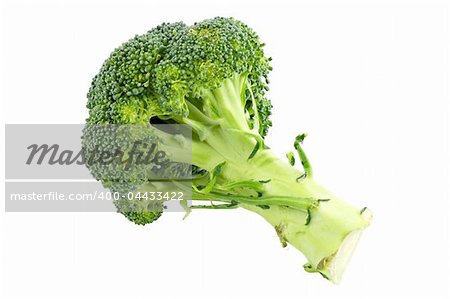 Fresh and healthy broccoli with shadow on white background