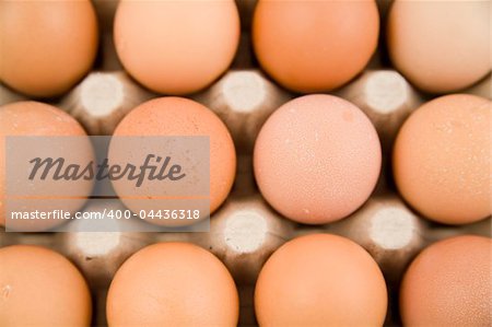 plenty of eggs in paper container
