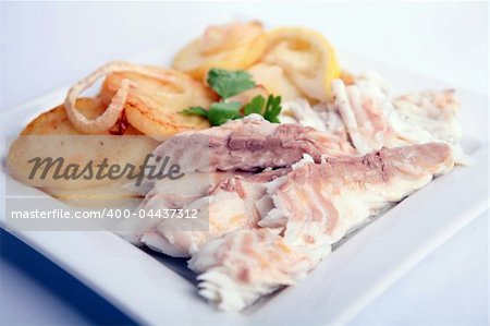 Gilthead Bream fish cooked with potato slices in a white dish