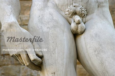A section of the Michelangelo's replica David statue.