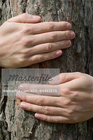 man's hand holding strong tree, environmental concept