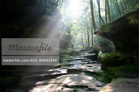 Sun shines through trees in rocky valley