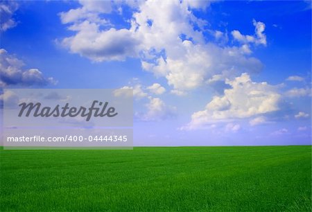 landscape with green field and blue cloudy sky