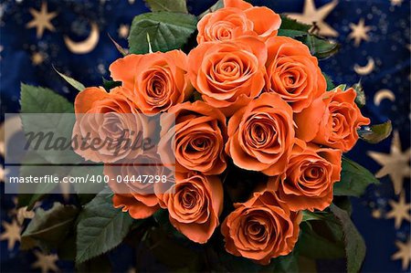 bunch of roses ,stars and moon background, nature series