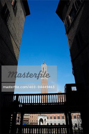 Torre del Mangia tower framed by buildings in alley.