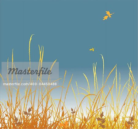 Autumn background. A grass and falling foliage. Vector