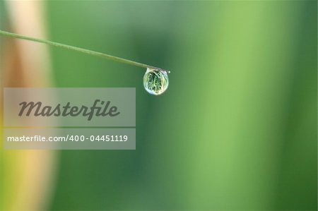 Small dewdrop on a green blade in the early morning