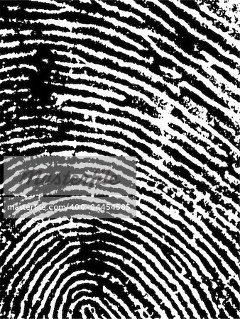 Black and White Vector Fingerprint Crop - Very accurately scanned and traced ( Vector is transparent so it can be overlaid on other images, vectors etc.)