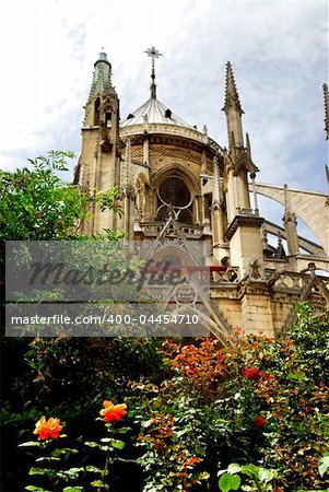 Notre Dame de Paris, gaden view with blooming roses