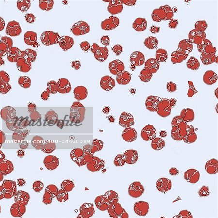 red cells close up on a white background