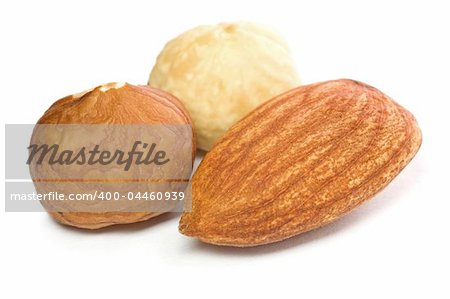 Closeup of hazel and almond nuts kernels isolated on white background.