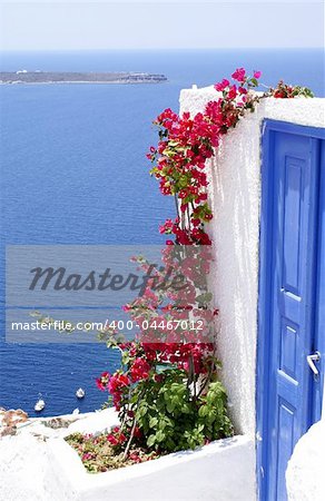 Old door and flowers