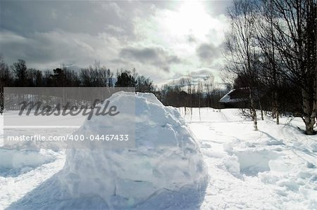 Igloo detail image in a snowy landscape