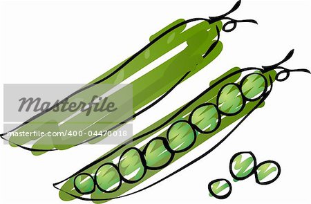 Sketch of peas in a pod Hand-drawn lineart look illustration