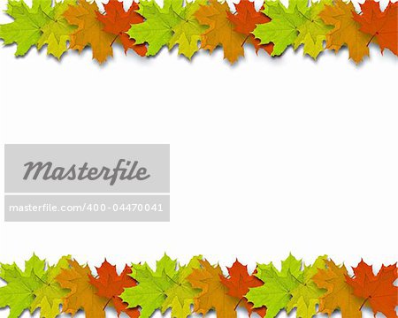 Autum Background with colorful fall leaves in line