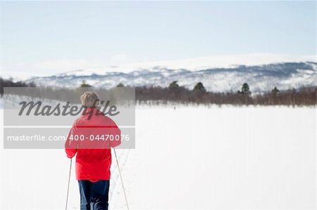 A skier on a wintery snow filled landscape.