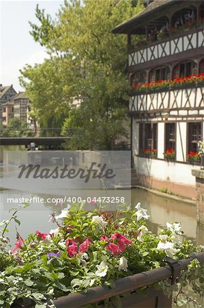 flowers over canal in strasbourg