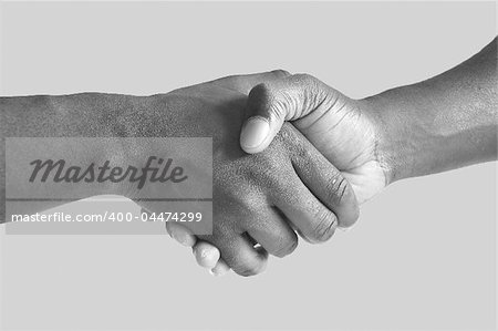 This is an image of two hands performing a handshake.