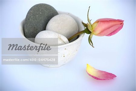 Tranquil scene. Rose and prbbles in a bowl on blue background.