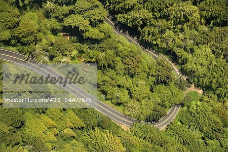 Aerial of winding scenic highway with trees in rural California, USA.