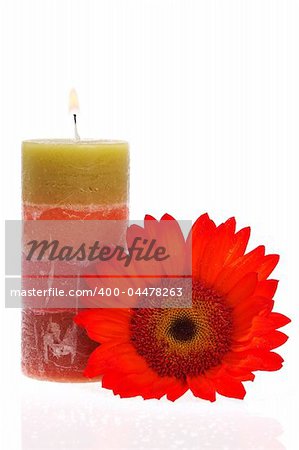 Burning candle and red flower