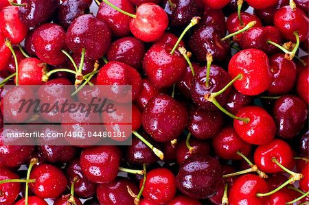 Red cherries, with water droplets.
