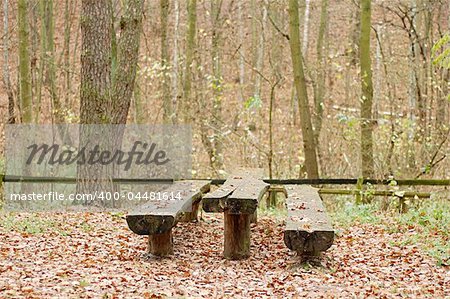 Benches for rest somewhere in forest
