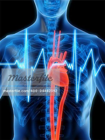 3d rendered illustration of a human shape with a heartbeat