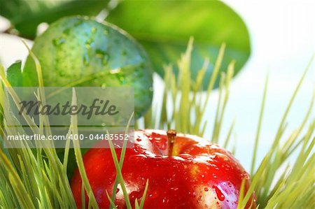 Apple in the grass with green leaves