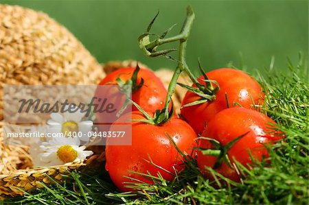 Summer tomatoes with straw hat