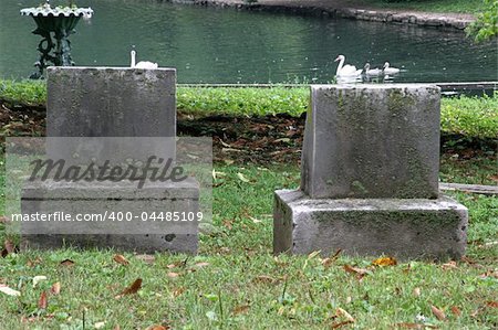 tombstones beside a pond with swans swimming by