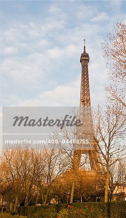 The Eiffel Tower in nightfall - paris France