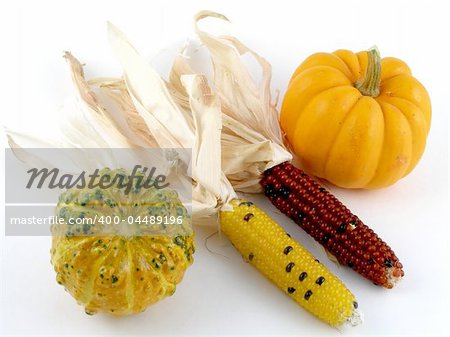 Harvest medley - Indian corn, pumpkin, gourd