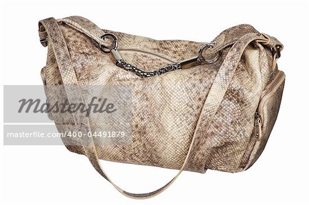 Fashionable leather female bag on a white background