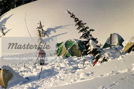 A group of tents on a winter camping expedition on Mt. Rainier. These tents were partially covered by snow from the evening before. In the background, a small animal has left a set of tracks in the fresh snow.